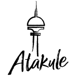 Company name